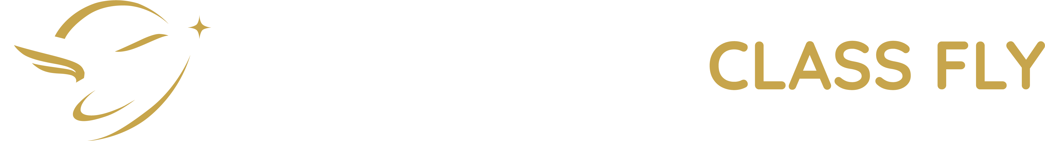 TheBusinessClassFly